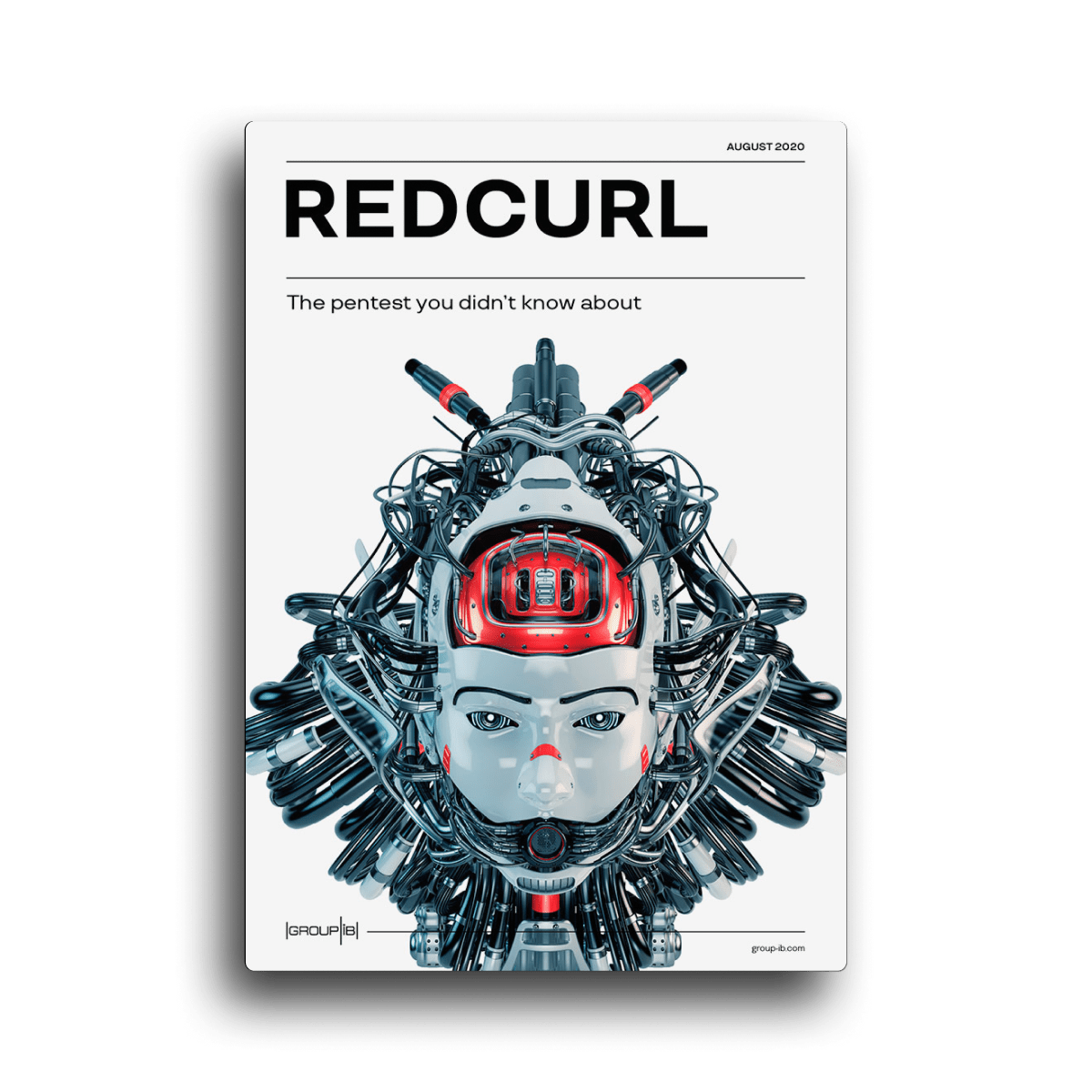 RedCurl: The Pentest You Didn’t Know About