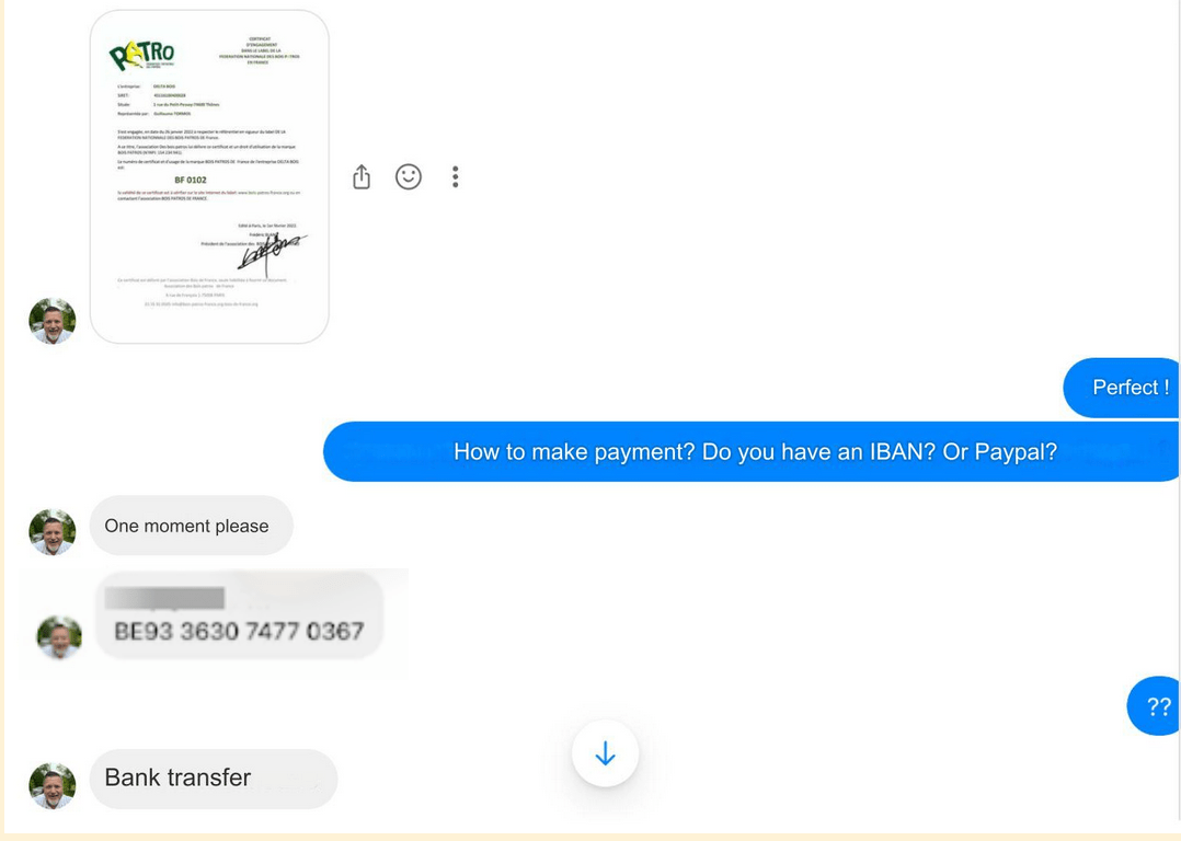 Figure 11. A screenshot of the scammer providing their victim with their IBAN information for money to be paid.
