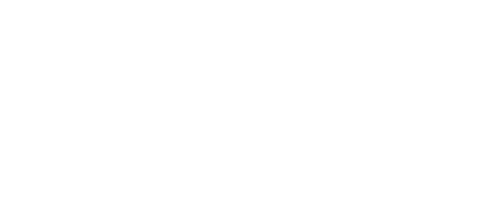 Secure Networks Pvt Ltd