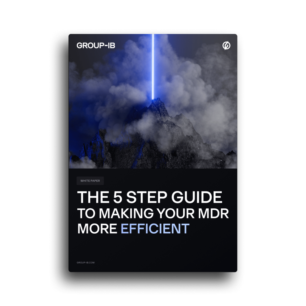 The 5 Step Guide to Making Your MDR More Efficient