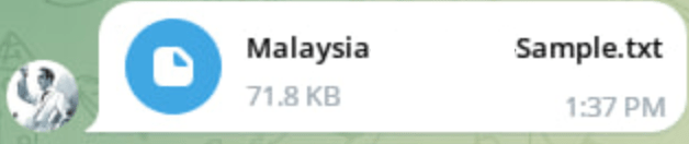 Figure 7: Conversation between Group-IB analysts and R00TK1T