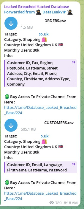 Figure 12: data appearing in a paid subscription of a scam Telegram channel “DataLeakVIP”