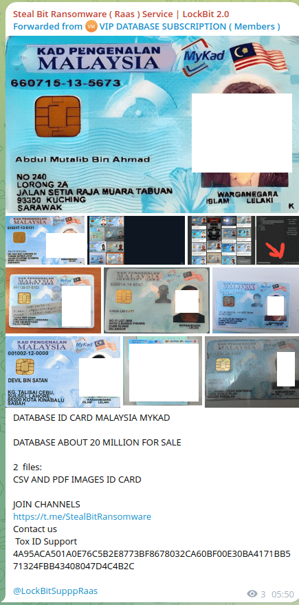Figure 28: Samples of auto-generated ID’s