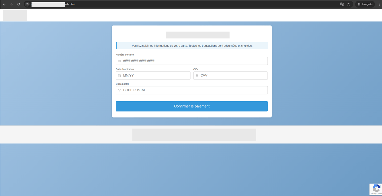 Figure 5. A screenshot of the fake checkout page used to steal bank card information.