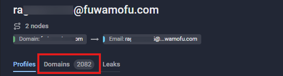 Figure 8. SOA Record analysis reveals the cybercriminal’s temporary email address.