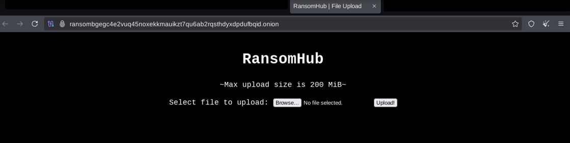 Figure 13. RansomHub File Update service