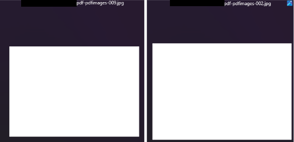 Figure 5. The two extra images identified on the PDF document.