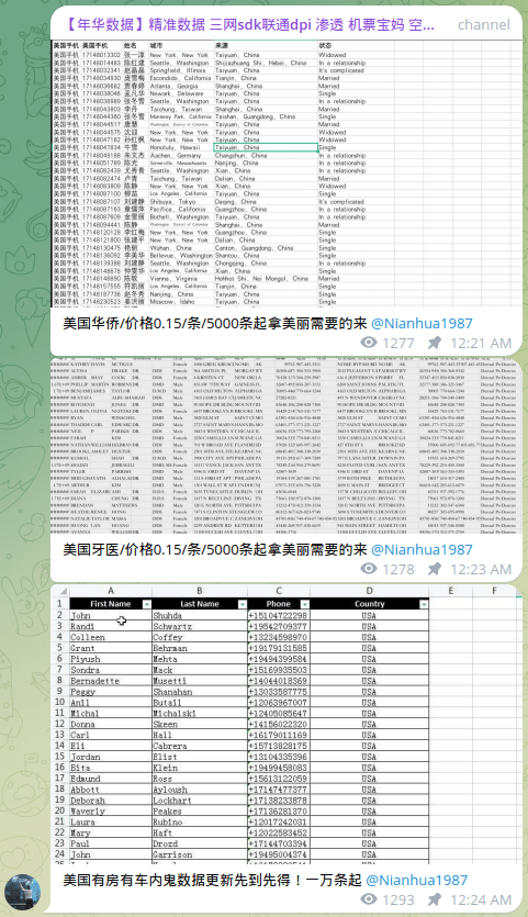 Figure 3: Telegram channel 海外数据专业渗透大师团队 claiming to sell global customer databases