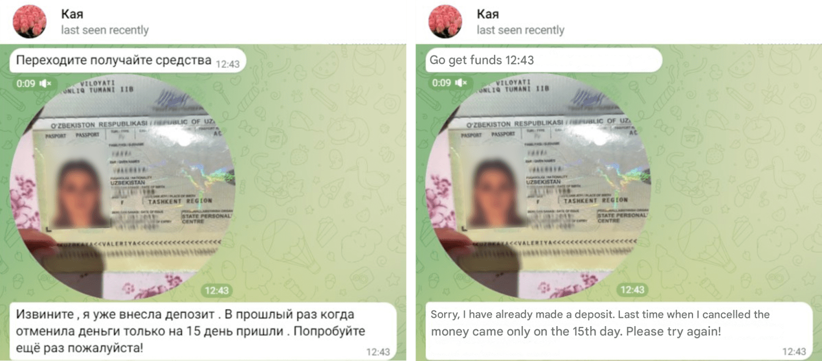 Figure 4. Correspondence and fake identification documents sent via instant messaging to the seller.