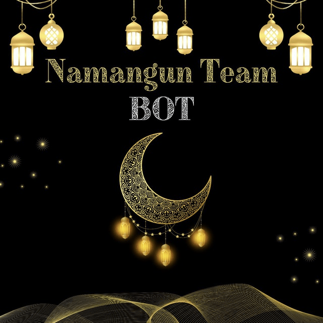 Figure 12. Cover image of the Namangun Team bot.
