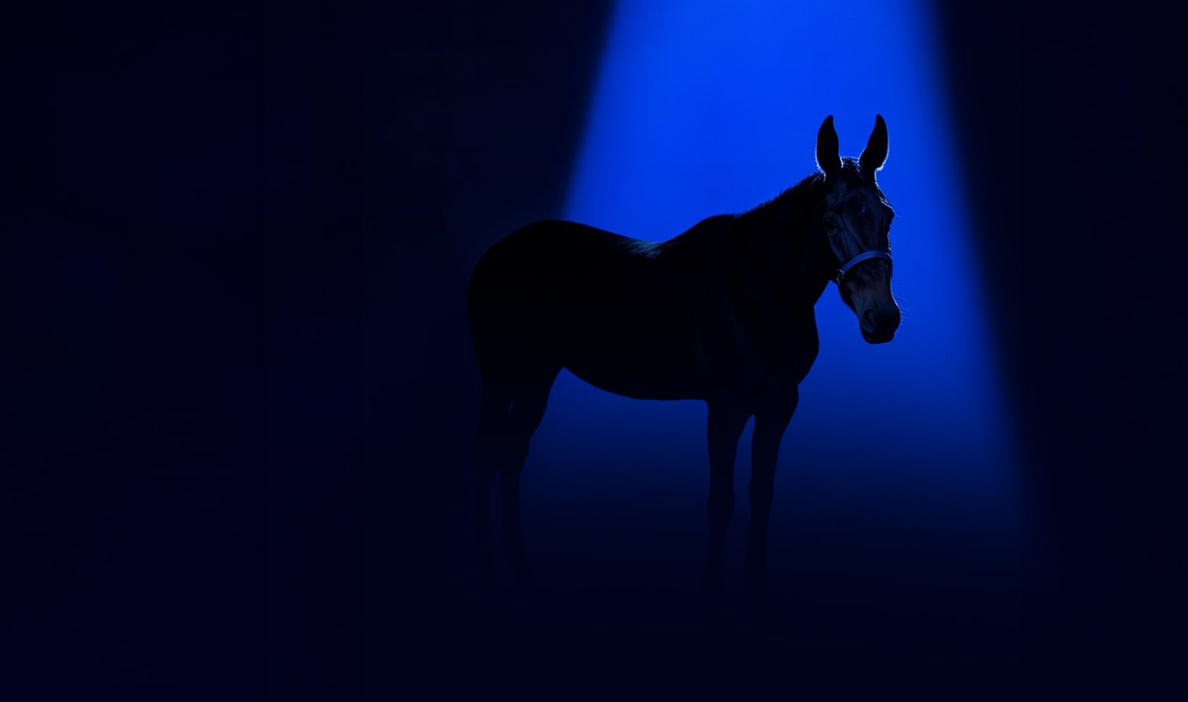 Strengthening AML Defenses